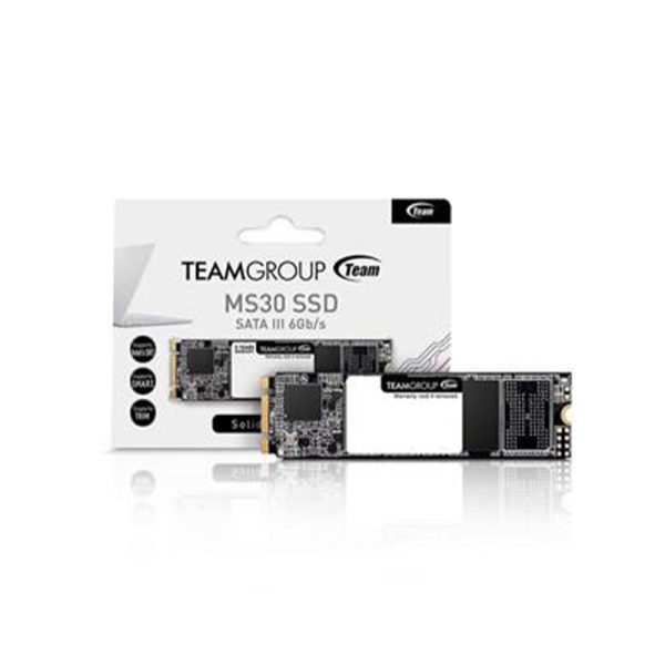 Teamgroup MS30 256GB Sata3