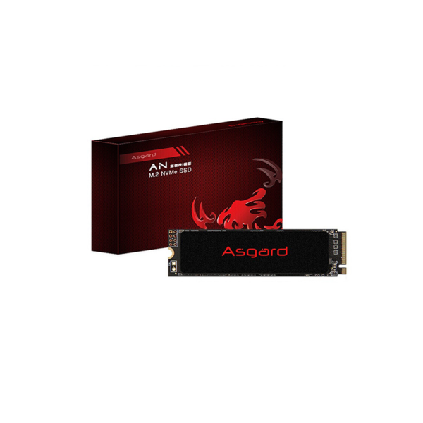 حافظه ازگارد Asgard M.2 an2 500GB SSD