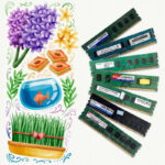 سبد 10 عددی رم ویژه همکاری