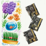 پک 5 عددی مادربرد Asus سوکت 1150