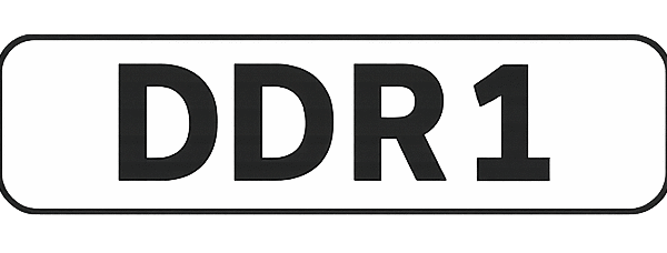 ddr1