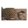 کارت گرافیک MSI GTX 1080 GAMING X 8G GDDR5X استوک در حد نو - Image 6