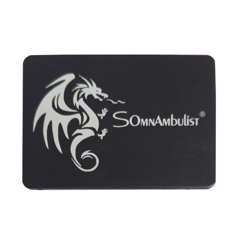 300525 Somnambulist